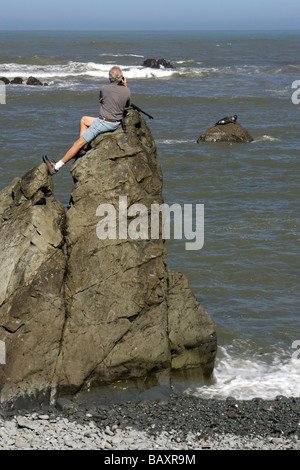 Photographe prenant une photo de Harbour Seal on Rock - Sue-meg State Park - Trinidad, Californie, Etats-Unis Banque D'Images