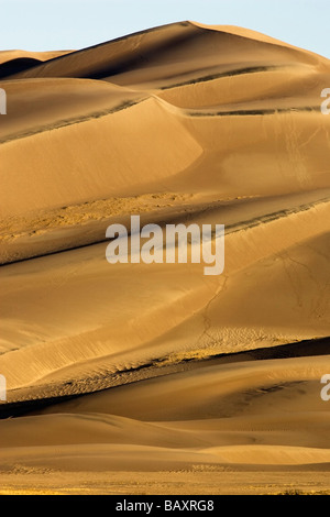 Sand dunes in early morning light - Great Sand Dunes National Park and Preserve - près de Mosca, Colorado Banque D'Images