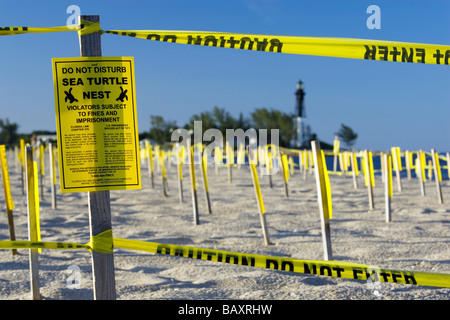 La zone de nidification des tortues de mer - Pompano Beach, Floride Banque D'Images