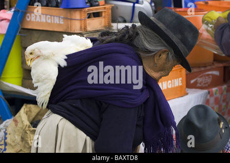 Vieille Femme autochtone avec le poulet à l'énorme marché de Saquisili au nord de Quito en Équateur Central Highlands Province de Cotopaxi Banque D'Images