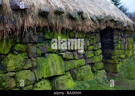 Lichen vert sur la pierre ancienne chaumière Croft à Colbost, Duirinish peninsula, Isle of Skye, Scotland, UK Banque D'Images