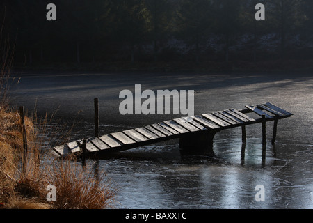 S'écrouler une jetée sur un lac gelé dans la région du Limousin France éclairage latéral puissant d'herbes en premier plan Banque D'Images