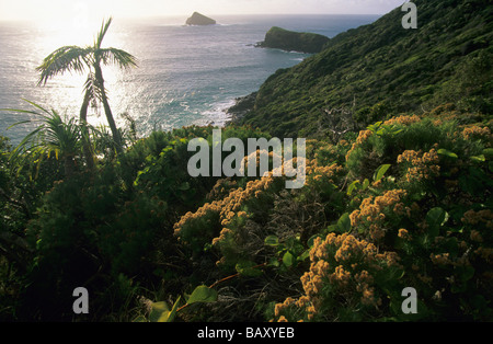 Vue de Mutton Bird Island et de mouton Point d'oiseaux, l'île Lord Howe, de l'Australie Banque D'Images