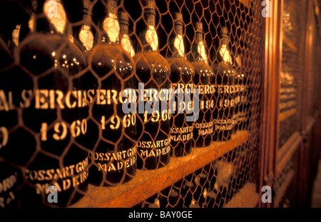 Une rangée de bouteilles de vin debout sur une étagère, Funchal, Madeira, Portugal Banque D'Images