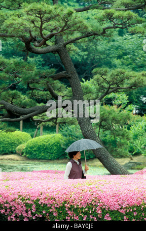 Magnolias en parc de l'Imperial Palace, Tokyo, Japon Banque D'Images