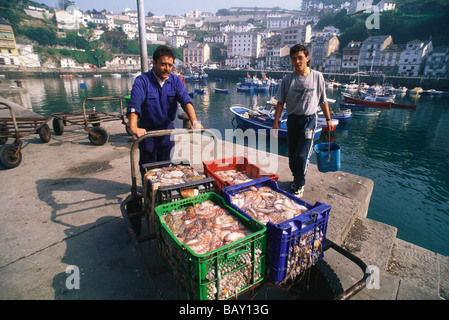 Deux pêcheurs présentant des paniers pleins de poulpes sur le quai de Luarca's Boat Harbour, Asturies, Costa Verde, Golfe de Gascogne, N Banque D'Images