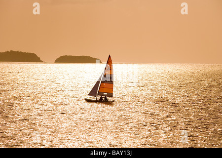 Hobie Cat au coucher du soleil, l'Ile des Saintes, Guadeloupe Banque D'Images