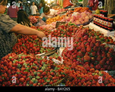 Dégustation femme fraises au marché central, la province de Benguet, Baguio, Philippines, Asie Banque D'Images