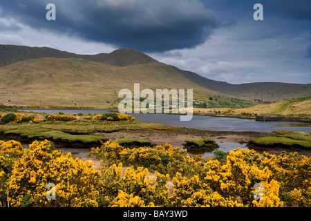 Paysage dans le Connemara, Comté de Mayo, Irlande, Europe Banque D'Images