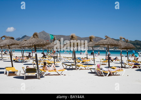 Chaises longues et parasols à Port d'Alcudia Beach, Port d'Alcudia, Majorque, Iles Baléares, Espagne Banque D'Images