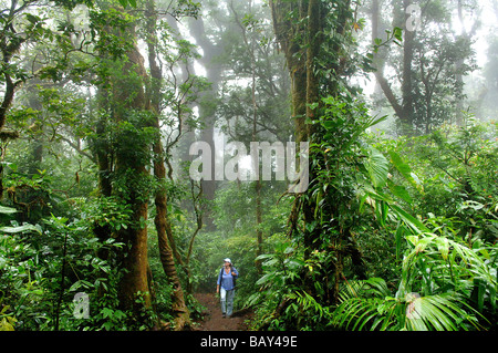 Femme de la randonnée dans la réserve de la Forêt Nuageuse de Monteverde, Costa Rica, Amérique Centrale Banque D'Images