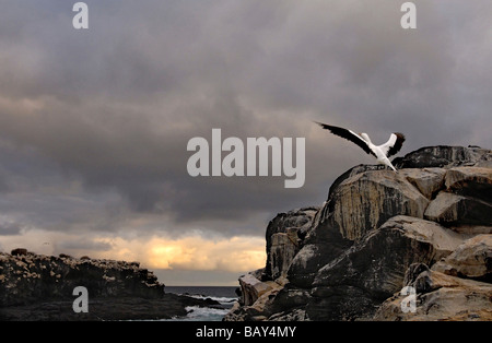 Coucher de soleil sur Isla Espanola, îles Galapagos, Equateur, Amérique du Sud Banque D'Images
