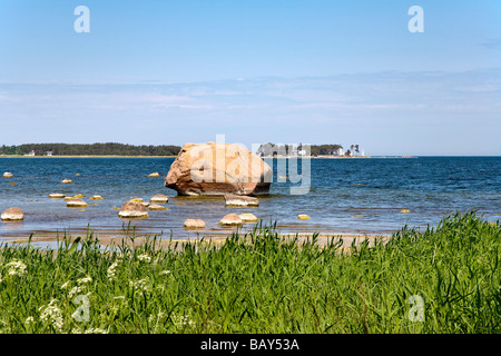 Près de la côte du village de pêcheurs d'Altja, parc national de Lahemaa, Estonie, Europe Banque D'Images