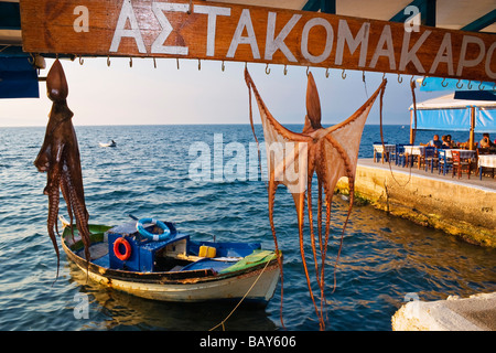 Hung up octopus, port de Coron, Péloponnèse, Grèce Banque D'Images