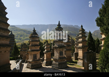 Pierres tombales des moines et abbés célèbres près du Monastère de Shaolin, forêt de Dagobas, forêt, la pagode bouddhiste taoïste, afin de montagne Banque D'Images