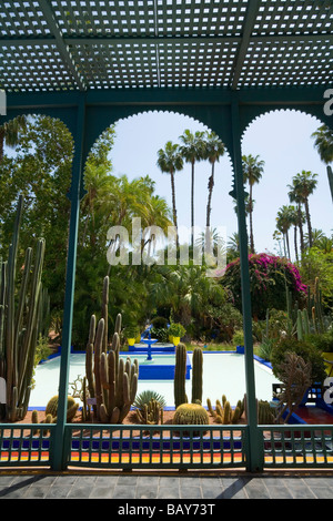 Les beaux jardins Majorelle à Marrakech Maroc Banque D'Images