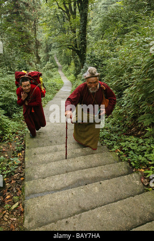 Pèlerins se rendant à l'étage dans la forêt, Emei Shan, province du Sichuan, Chine, Asie Banque D'Images