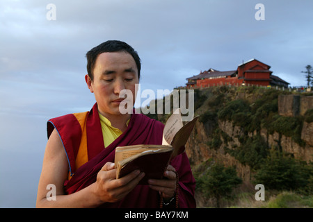 Moine tibétain scripts sainte lecture au lever du soleil, l'Emei Shan, province du Sichuan, Chine, Asie Banque D'Images