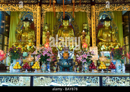 Bouddha Doré sur l'autel principal à l'intérieur de la salle du grand héros au monastère Po Lin. L'île de Lantau, Hong Kong Banque D'Images