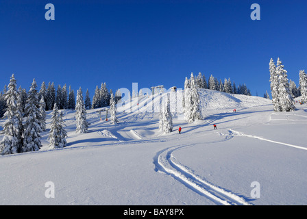 Scène de montagne couverte de neige dans la station de ski, Riedberger Horn, station de ski Grasgehrenlifte, Obermaiselstein, Oberstdorf Allgaeu, ran Banque D'Images