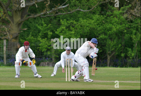 Cookhill au cricket Village, Worcestershire, Angleterre, RU Banque D'Images