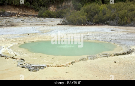 La piscine de l'Huître au wai-O-Tapu Thermal Wonderland près de Rotorua, Nouvelle-Zélande Banque D'Images