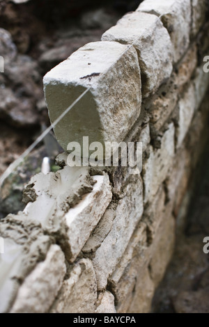 Un mur fait de blocs de calcaire, UK Banque D'Images