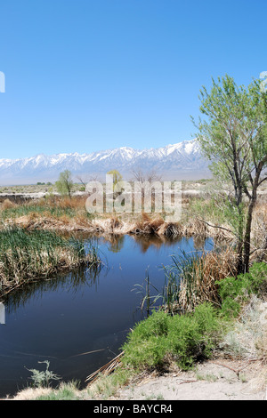 La rivière Owens et le versant est de la Sierra Nevada en Californie près de l'indépendance et l'US Highway 395 Banque D'Images