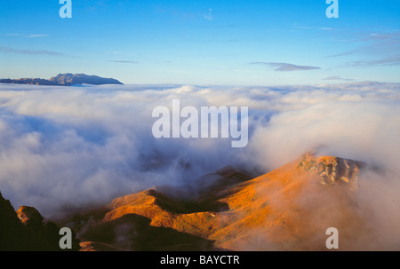 Au-dessus des nuages au lever du soleil Te Mata Peak Havelock North Île du Nord Nouvelle-zélande Banque D'Images