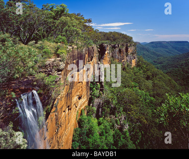 Fitzroy Falls Parc national Morton New South Wales Australie Banque D'Images