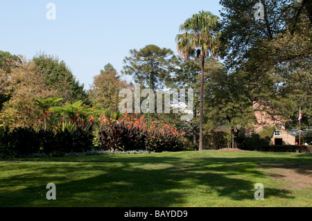 Canna fleurs et Captain Cook's Cottage dans les jardins Fitzroy Melbourne Australie Victoria Banque D'Images