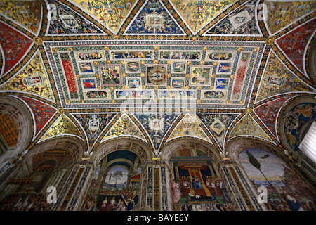 Les fresques de Pinturicchio dans la Bibliothèque Piccolomini du Duomo à Sienne, Italie Banque D'Images