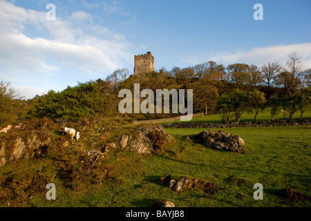 Château de Dolwyddelan. Le Parc National de Snowdonia. Le Pays de Galles. L'Europe Banque D'Images