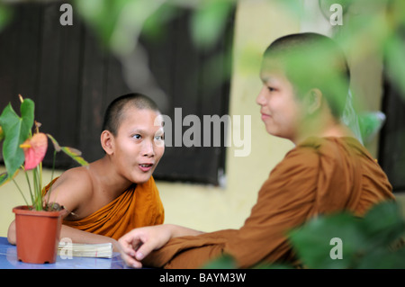 Moines au Wat Chedi Luang chiang mai Thaïlande Banque D'Images