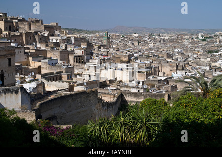 Vue imprenable sur les toits de la médina de Fès à partir de Dar Mokri - maintenant une école de musique. Montrant derbs, riads, et mosquée de Kairaouine Banque D'Images