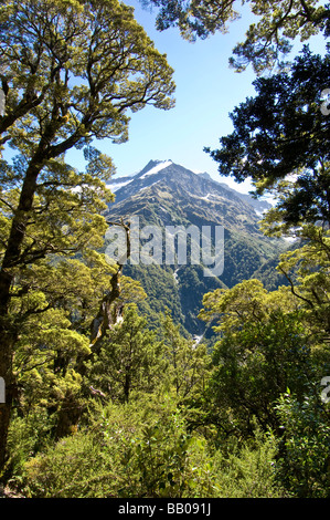 Vue depuis la crête français track Mount Aspiring National Park ile sud Nouvelle Zelande Banque D'Images