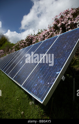 Soleil brillant vers le bas sur un tableau de silicium polycristallin teinté bleu panneaux solaires photovoltaïques dans le comté de Tyrone en Irlande du Nord Banque D'Images