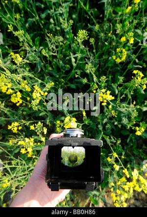 La main du photographe holding vintage appareil moyen format bi-objectif - prise de photo de famille et la nature Banque D'Images