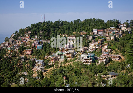 McLeod Ganj. L'Himachal Pradesh. L'Inde Banque D'Images