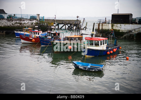 Bateaux de pêche dans le port de Cobh en Irlande Banque D'Images