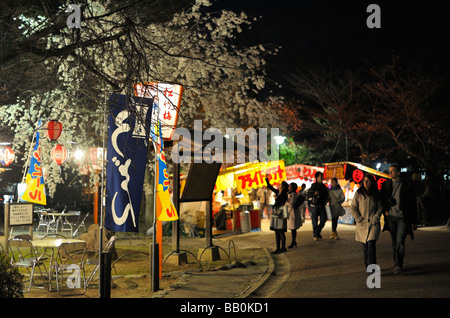 Les fleurs de cerisier Festival au parc Maruyama, Kyoto JP Banque D'Images