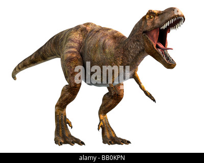 Tyrannosaurus rex (qui signifie "lézard tyran roi') T-Rex vivait dans l'ouest de l'Amérique du Nord 68 à 65 millions d'années Banque D'Images