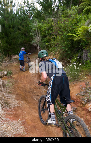 Groupe d'hommes d'âges différents sur les vélos de montagne Banque D'Images