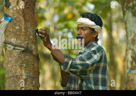 L'homme indien travaille sur une plantation d'arbres à gomme entre Kottayam et Periyar. Kerala, Inde, 2005. Aucun communiqué de presse disponible. Banque D'Images