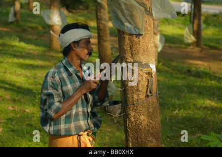 L'homme indien travaille sur une plantation d'arbres à gomme entre Kottayam et Periyar. Kerala, Inde, 2005. Aucun communiqué de presse disponible. Banque D'Images