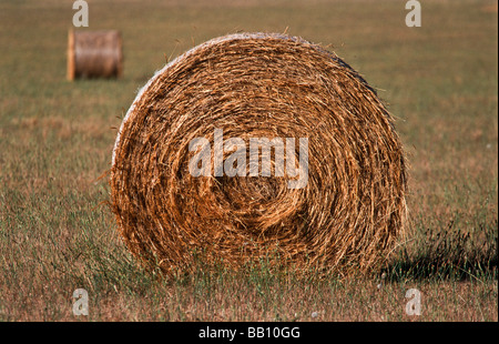 Haybale, Australie Banque D'Images