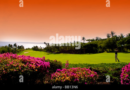 Au golfeur magnifique Wailea Emerald trou bien sûr avec 1 palmiers fleurs beauté à Maui Hawaii Banque D'Images