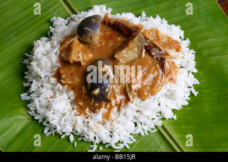 Sambar Brinjal est un Indien du Sud dal recette composée de brinjal et lentilles Banque D'Images