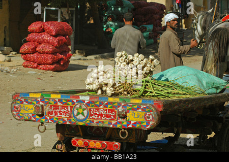 L'EGYPTE, Le Caire. Panier coloré d'un marchand ambulant de l'ail, certains écrits en arabe peint sur le panier (RF) Banque D'Images