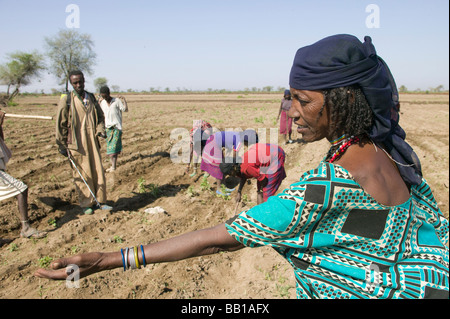 Femme travaillant dans les champs, les semis du maïs, loin de la tribu, à fleur d'Fontale, Éthiopie. Banque D'Images